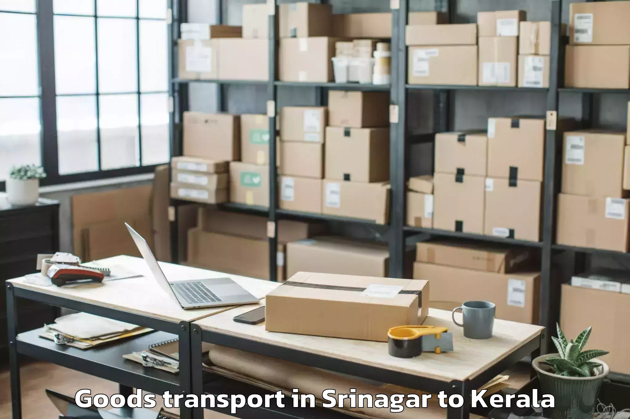 Reliable Srinagar to Thiruvananthapuram Internation Goods Transport